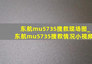 东航mu5735搜救现场图_东航mu5735搜救情况小视频