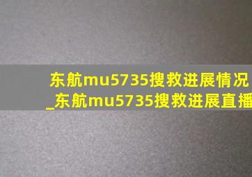 东航mu5735搜救进展情况_东航mu5735搜救进展直播