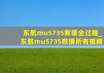 东航mu5735救援全过程_东航mu5735救援所有视频