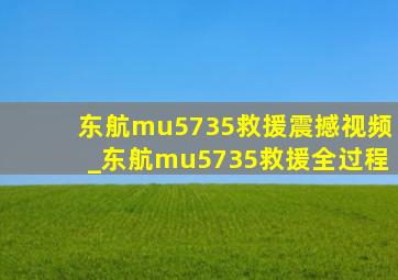 东航mu5735救援震撼视频_东航mu5735救援全过程