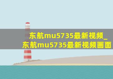 东航mu5735最新视频_东航mu5735最新视频画面