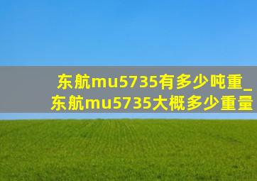 东航mu5735有多少吨重_东航mu5735大概多少重量