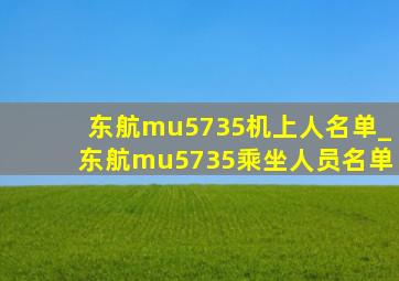 东航mu5735机上人名单_东航mu5735乘坐人员名单