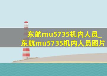 东航mu5735机内人员_东航mu5735机内人员图片