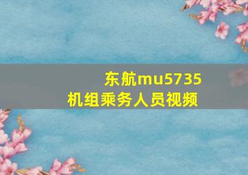 东航mu5735机组乘务人员视频