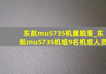 东航mu5735机翼脱落_东航mu5735机组9名机组人员