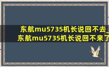 东航mu5735机长说回不去_东航mu5735机长说回不来了