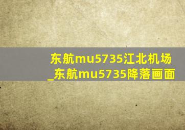 东航mu5735江北机场_东航mu5735降落画面