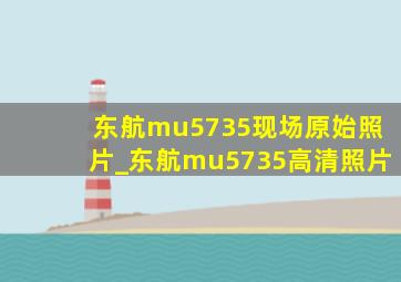 东航mu5735现场原始照片_东航mu5735高清照片