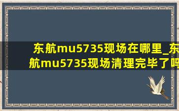 东航mu5735现场在哪里_东航mu5735现场清理完毕了吗