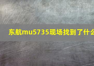 东航mu5735现场找到了什么