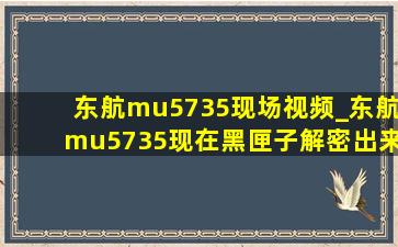 东航mu5735现场视频_东航mu5735现在黑匣子解密出来没