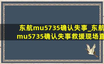 东航mu5735确认失事_东航mu5735确认失事救援现场直播