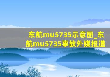 东航mu5735示意图_东航mu5735事故外媒报道