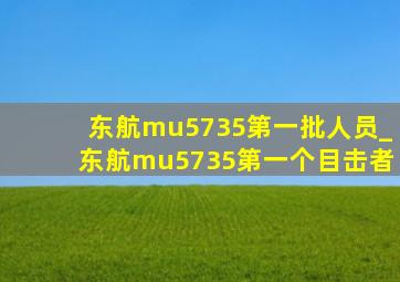 东航mu5735第一批人员_东航mu5735第一个目击者