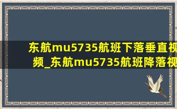 东航mu5735航班下落垂直视频_东航mu5735航班降落视频