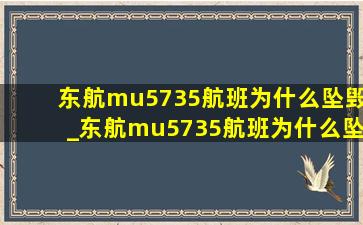 东航mu5735航班为什么坠毁_东航mu5735航班为什么坠毁了