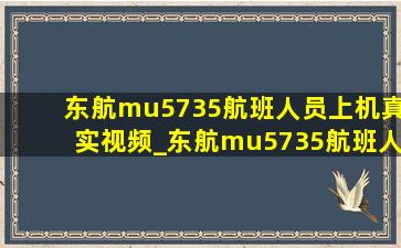 东航mu5735航班人员上机真实视频_东航mu5735航班人员视频