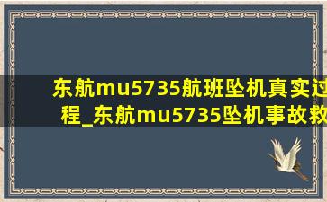 东航mu5735航班坠机真实过程_东航mu5735坠机事故救援情况
