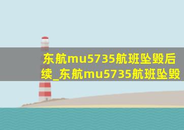 东航mu5735航班坠毁后续_东航mu5735航班坠毁