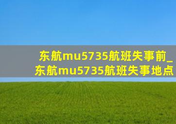 东航mu5735航班失事前_东航mu5735航班失事地点