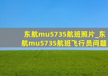 东航mu5735航班照片_东航mu5735航班飞行员问题