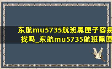东航mu5735航班黑匣子容易找吗_东航mu5735航班黑匣子找到了吗