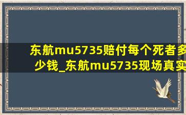 东航mu5735赔付每个死者多少钱_东航mu5735现场真实画面