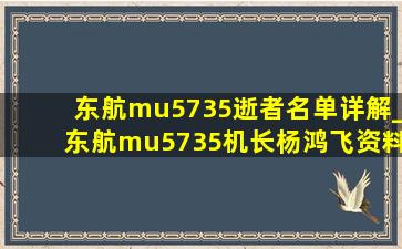 东航mu5735逝者名单详解_东航mu5735机长杨鸿飞资料