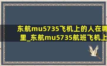 东航mu5735飞机上的人在哪里_东航mu5735航班飞机上有哪些人