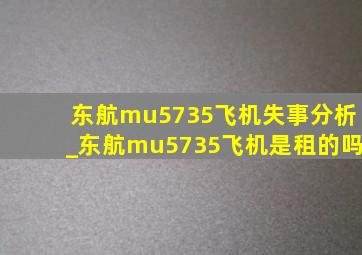 东航mu5735飞机失事分析_东航mu5735飞机是租的吗