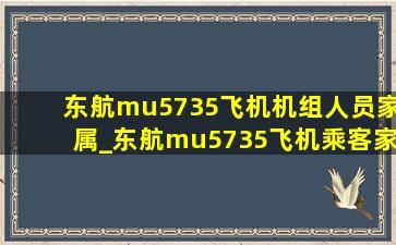 东航mu5735飞机机组人员家属_东航mu5735飞机乘客家属情况