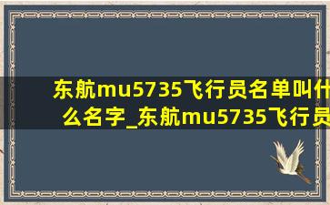 东航mu5735飞行员名单叫什么名字_东航mu5735飞行员名单