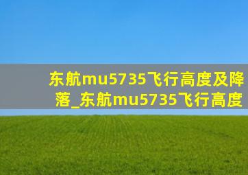 东航mu5735飞行高度及降落_东航mu5735飞行高度