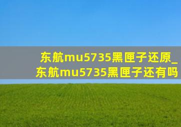 东航mu5735黑匣子还原_东航mu5735黑匣子还有吗