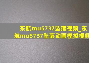 东航mu5737坠落视频_东航mu5737坠落动画模拟视频