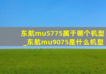 东航mu5775属于哪个机型_东航mu9075是什么机型