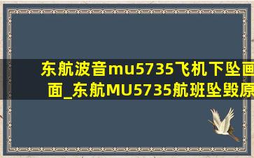东航波音mu5735飞机下坠画面_东航MU5735航班坠毁原因