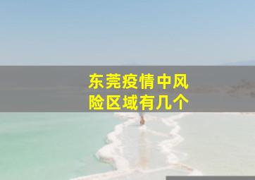 东莞疫情中风险区域有几个