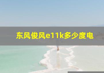 东风俊风e11k多少度电