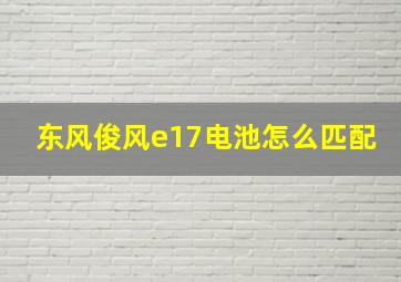 东风俊风e17电池怎么匹配