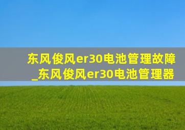 东风俊风er30电池管理故障_东风俊风er30电池管理器