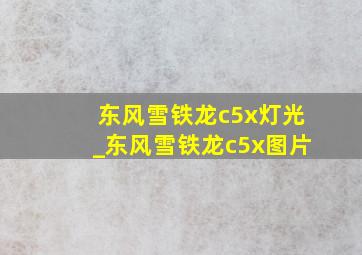 东风雪铁龙c5x灯光_东风雪铁龙c5x图片