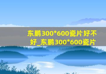 东鹏300*600瓷片好不好_东鹏300*600瓷片