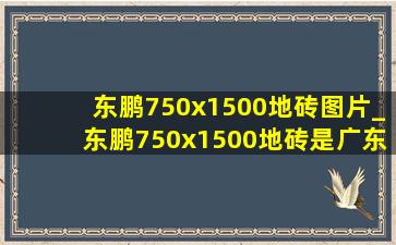 东鹏750x1500地砖图片_东鹏750x1500地砖是广东砖吗