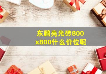 东鹏亮光砖800x800什么价位呢