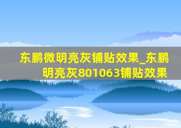 东鹏微明亮灰铺贴效果_东鹏明亮灰801063铺贴效果