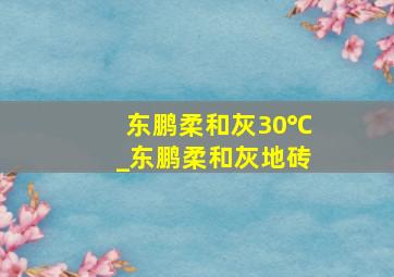 东鹏柔和灰30℃_东鹏柔和灰地砖