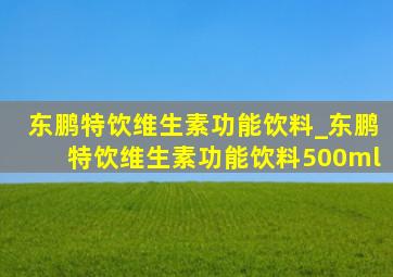 东鹏特饮维生素功能饮料_东鹏特饮维生素功能饮料500ml