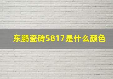 东鹏瓷砖5817是什么颜色